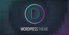 Divi Theme Logo Picture